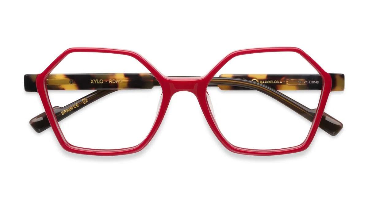 Etnia Barcelona XYLO Eyeglasses - view 21